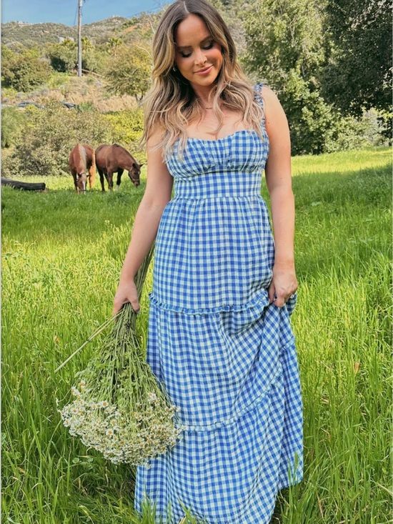 Show Me Your MuMu Dresses & Skirts - Show Me Your Mumu Rosie maxi Dress ~ Blue Bounty Gingham